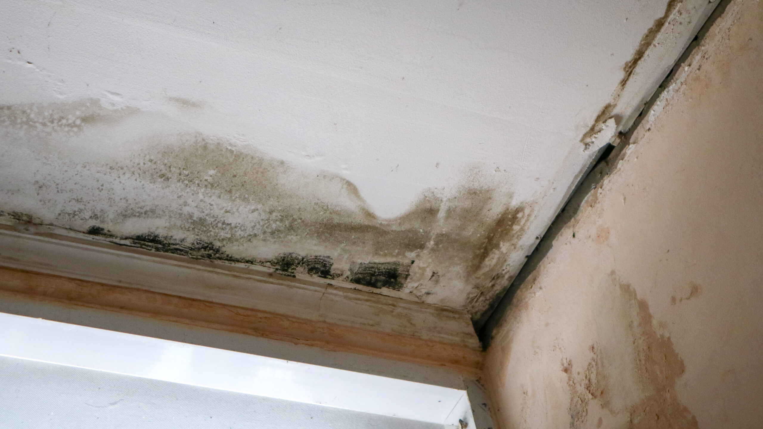 RV slide-out water damage showing rotted wood framing from failed seal